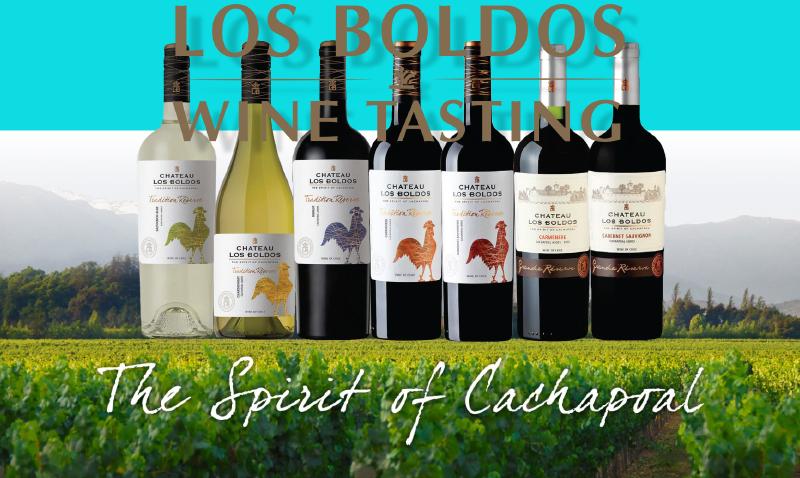 Buổi nếm rượu vang Los Boldos của Chile