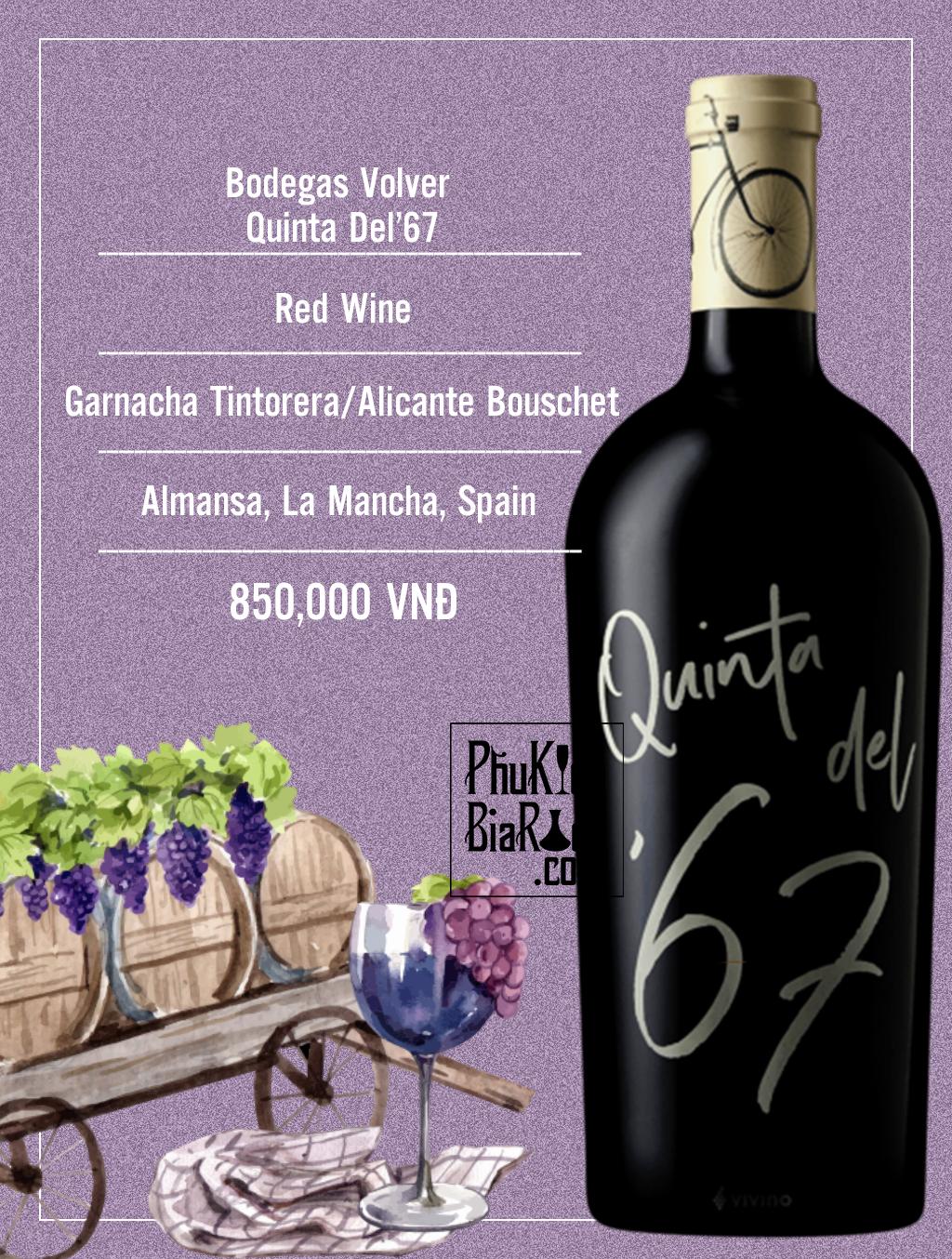 Vang đỏ Bodegas Volver Quinta Del ´67 (6 chai/thùng)