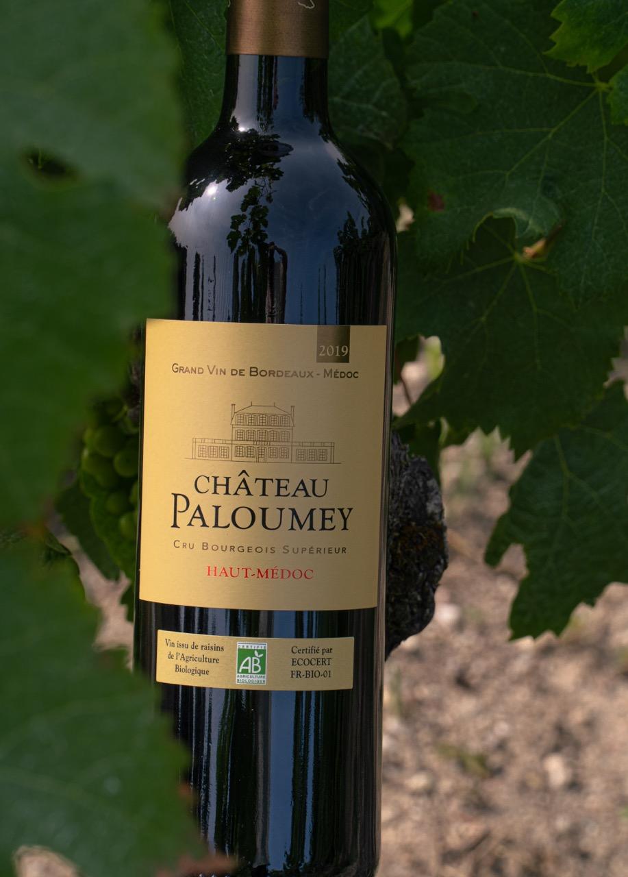 Vang đỏ Chateau Paloumey Cru Bourgeois Superieur (6 chai/thùng)