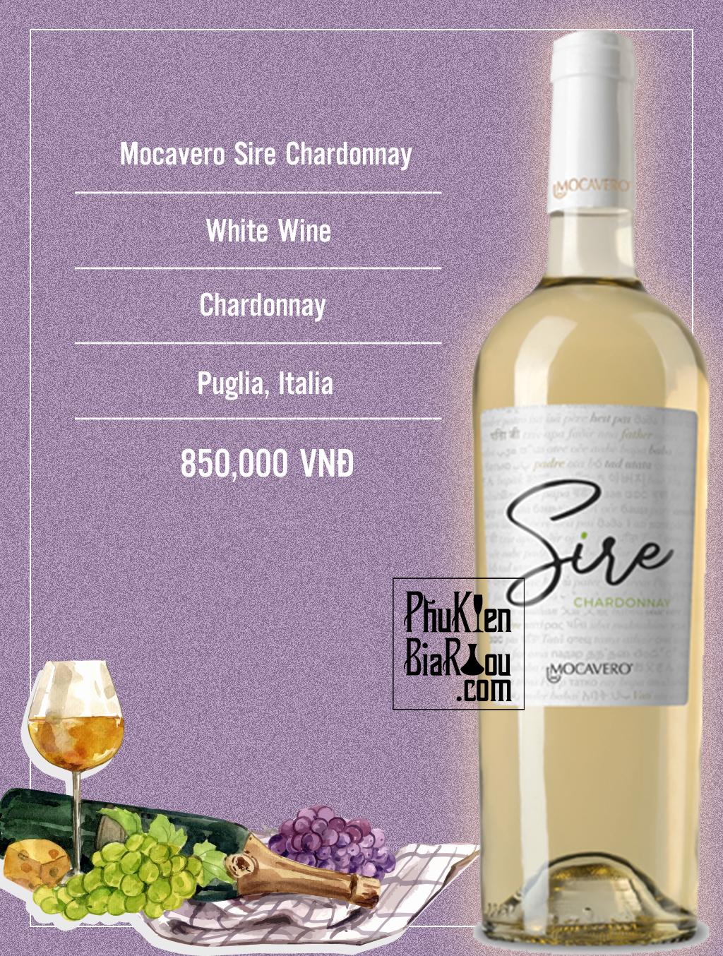 Vang trắng Mocavero Sire Chardonnay (6 chai/thùng)